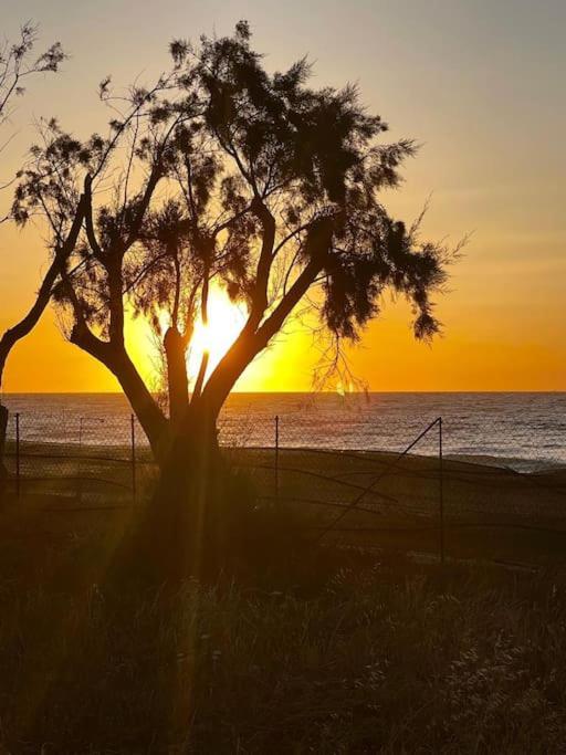 Lambou Beach Sunset Soroni Esterno foto